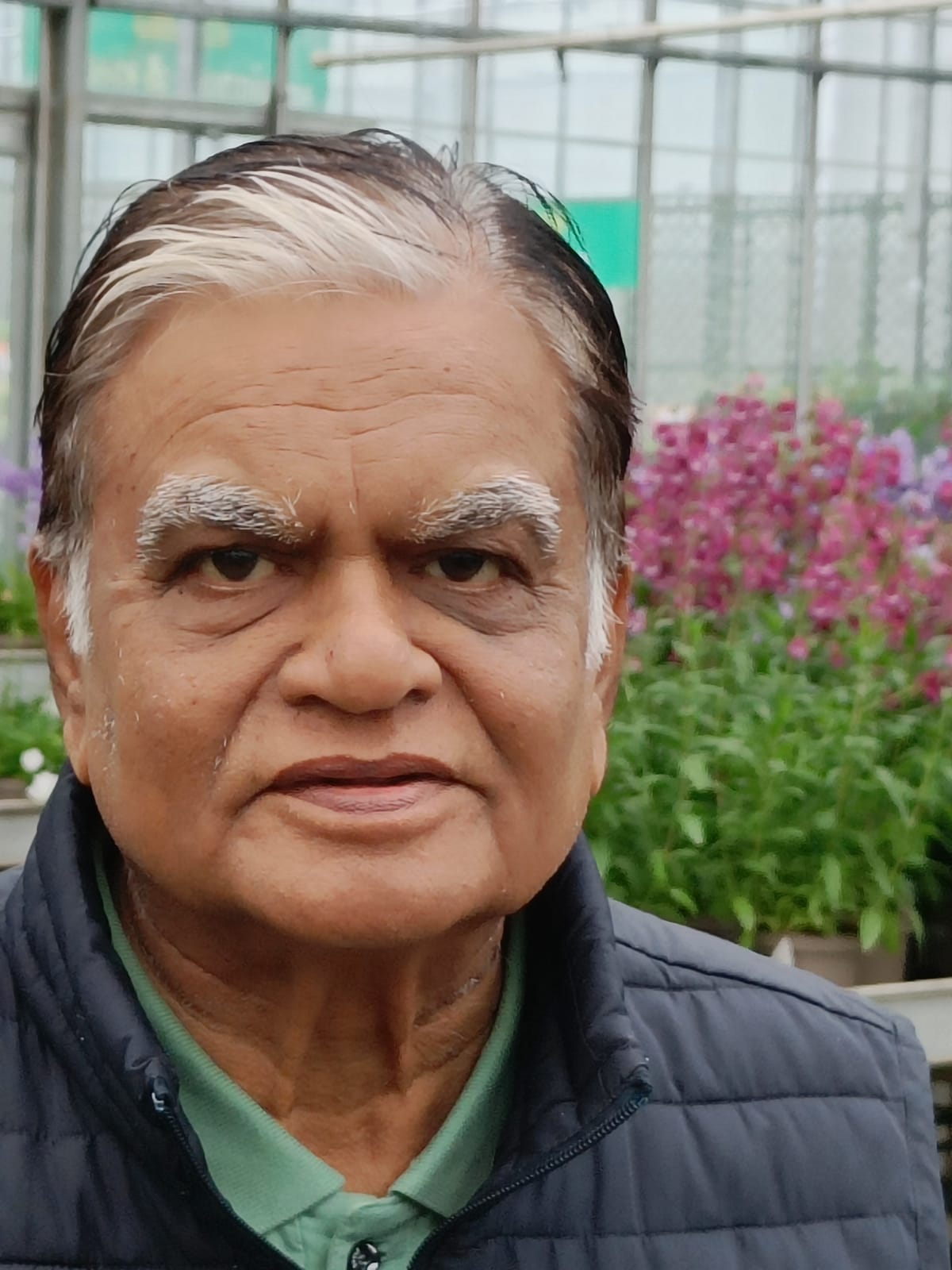 Pratap Verma